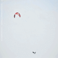 kite22_sturmtief_nadia30jan_336_600.gif 