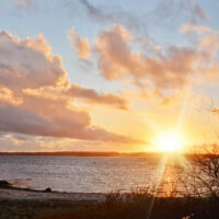 Abendhimmel Schausende | 8. April 22