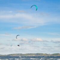 Holnis herbstlich | 20.10.2022