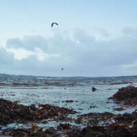 Abend in Schausende | 30.1.2023