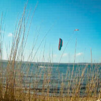kite23_schausende24maerz_05.jpg 