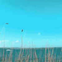 Schöne Session Schausende | 24.3.23