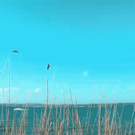 kite23_schausende24maerz_1a.gif