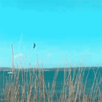 kite23_schausende24maerz_1c.gif 