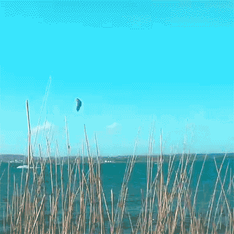kite23_schausende24maerz_1c.gif