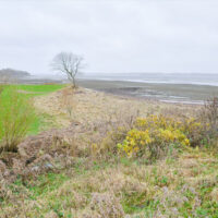 Niedrigwasser -160cm in Schausende | 23.11.23