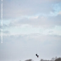 kite23_rentnerbucht29dez_080.jpg 