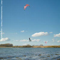 kite24_rentnerbucht8april_41_900.jpg 