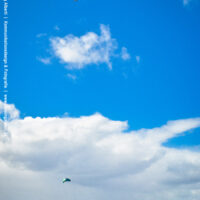 kite24_rentnerbucht_westwind14apr_37_900.jpg 