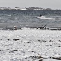 Eisberg vor Holnis | 15 februar 2026