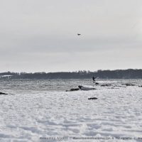 Eisberg vor Holnis | 15 februar 2026