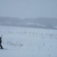 Snowkiten Feb. ’10