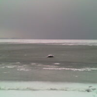 05.02.2010 Holnis im Packeis